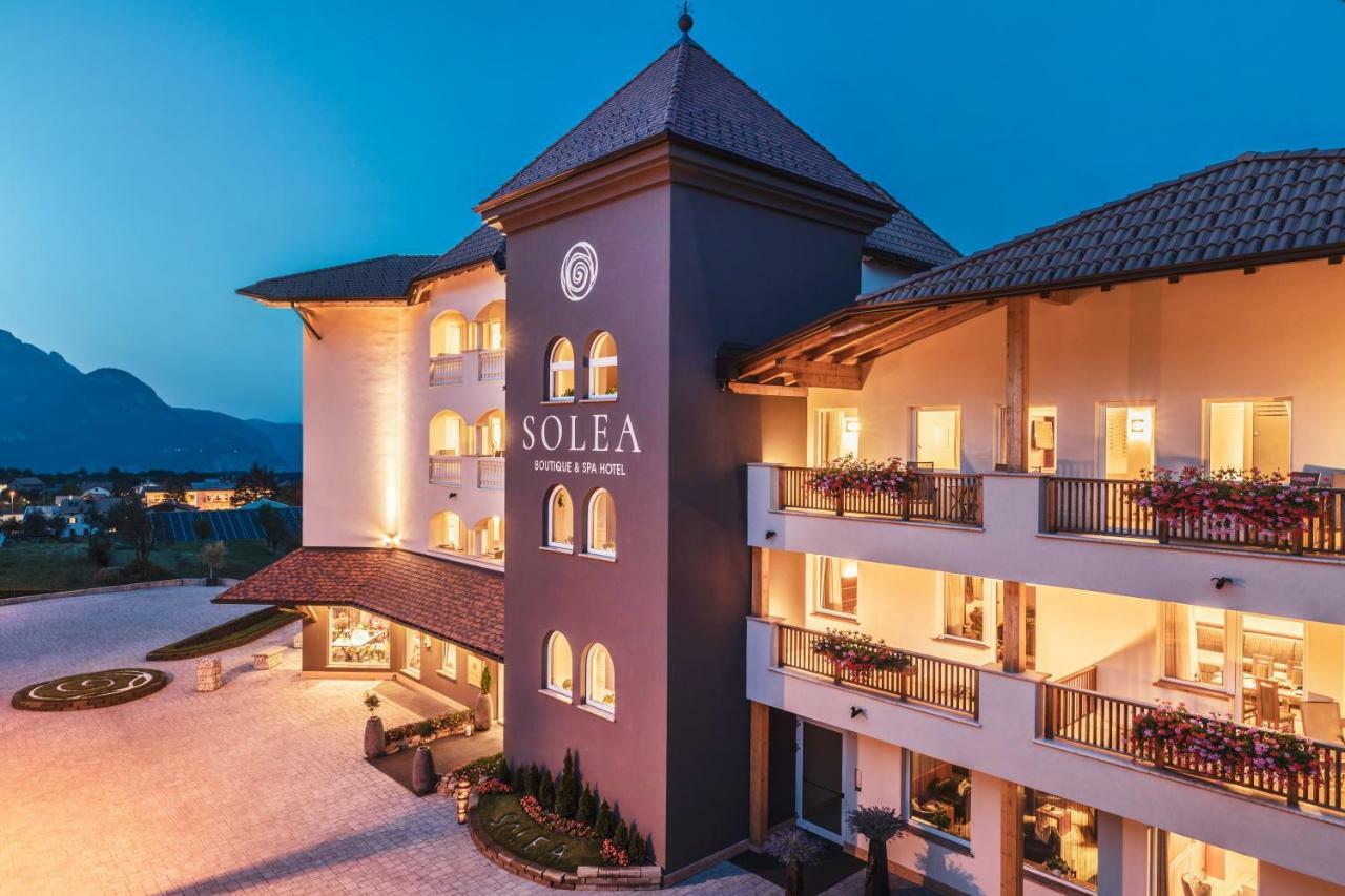 Solea Dolomiti Boutique Hotel في ديلا باغانيلا المظهر الخارجي الصورة